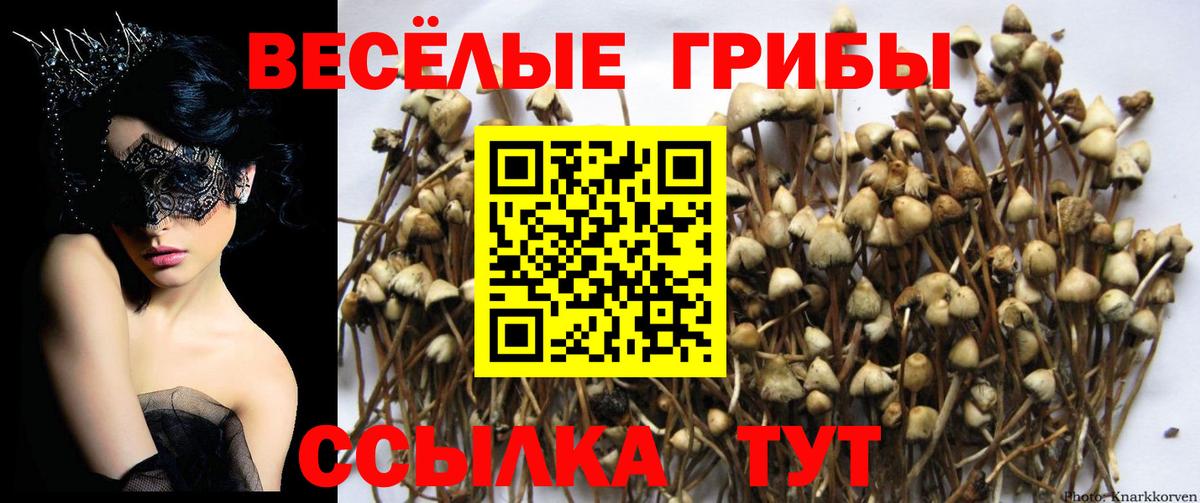 Батайск  Псилоцибиновые грибы Cubensis  Галлюциногенные грибы Psilocybe  Вход с VPN 
